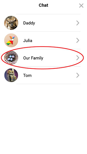 Show My Chats tab selected with a circle around the family group